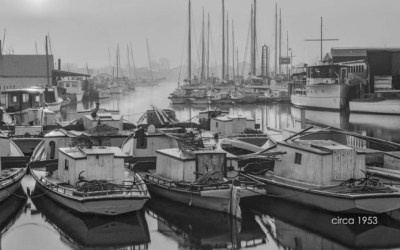 Annapolis Collection Gallery local TV commercial (2019)